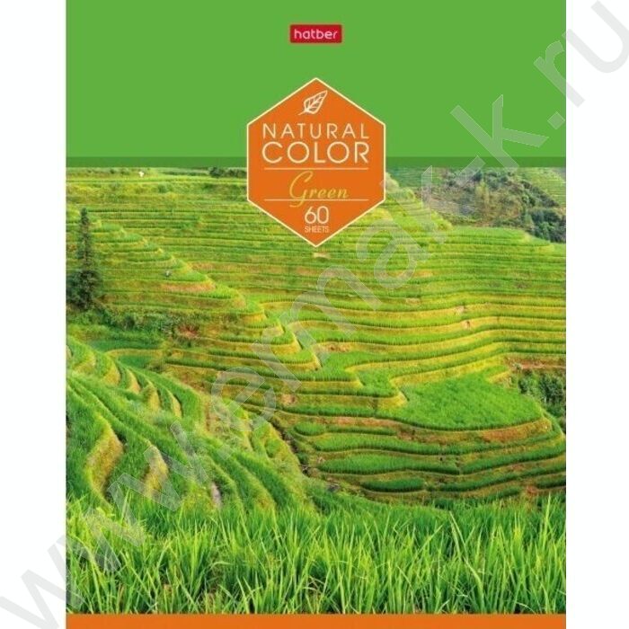 Тетрадь  60л клетка "Color" ассорти | Фото 5