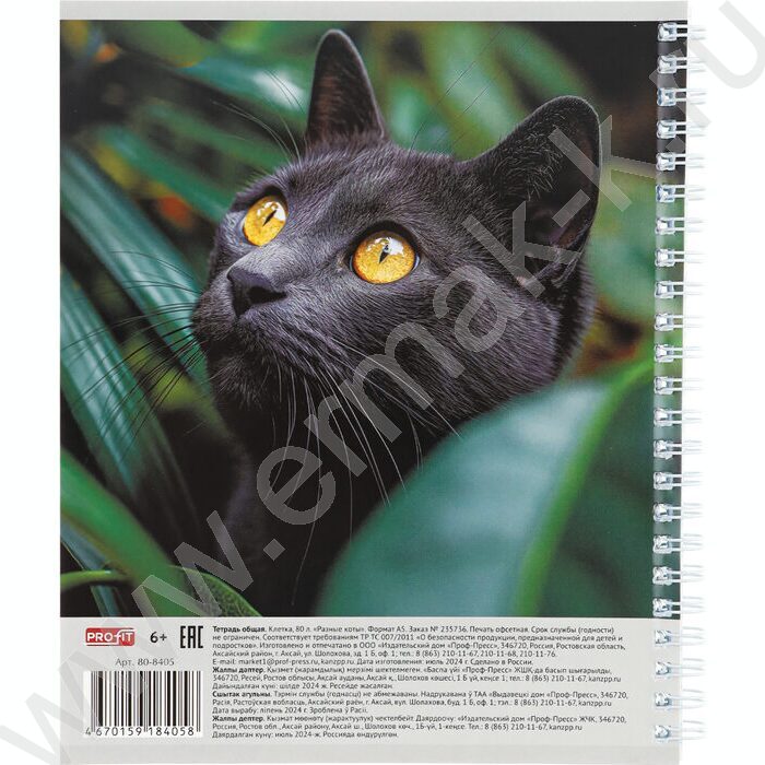 Тетрадь  80л клетка/спираль "Разные коты" ассорти | Фото 5
