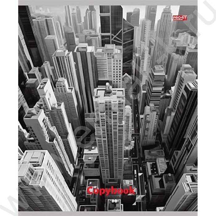 Тетрадь  48л клетка "Мегаполис в чёрно-белом" ассорти | Фото 2