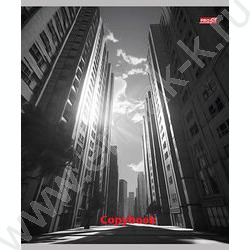 Тетрадь  48л клетка "Мегаполис в чёрно-белом" ассорти | Фото 5