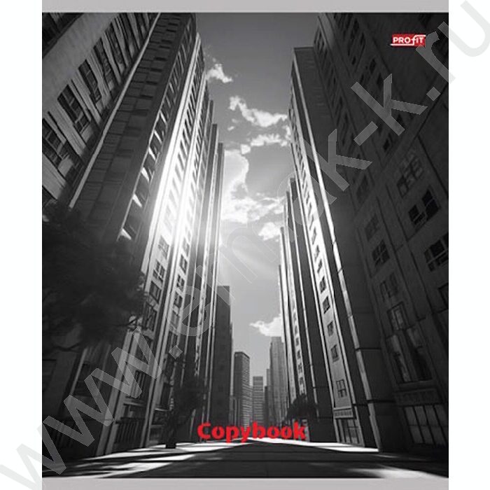 Тетрадь  48л клетка "Мегаполис в чёрно-белом" ассорти | Фото 5