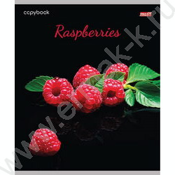 Тетрадь  48л клетка "Яркие фрукты и ягоды" ассорти | Фото 5