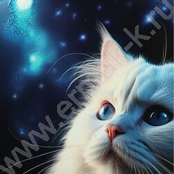 Тетрадь  48л клетка "Котики и огоньки" ассорти | Фото 7