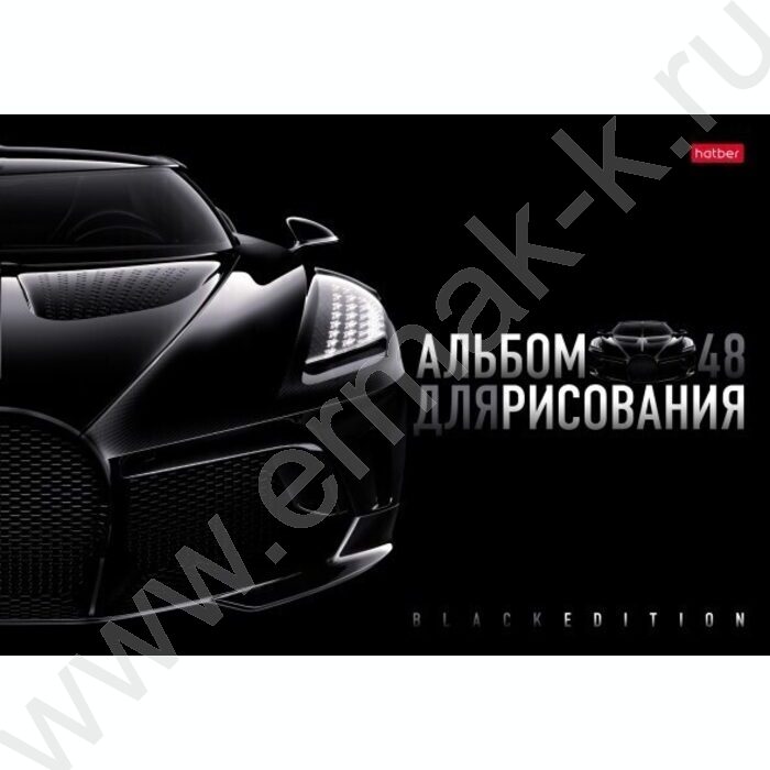 Альбом д/рисования пл.обл. 48л "Black Edition" /тиснение/ | Фото 2