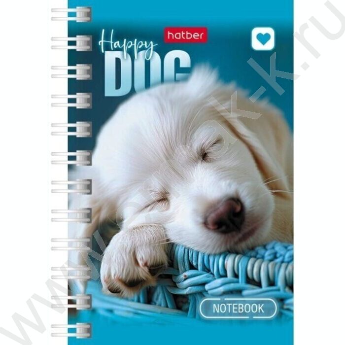 Зап. книжка  40л А7 спираль "Носики и ушки" | Фото 3