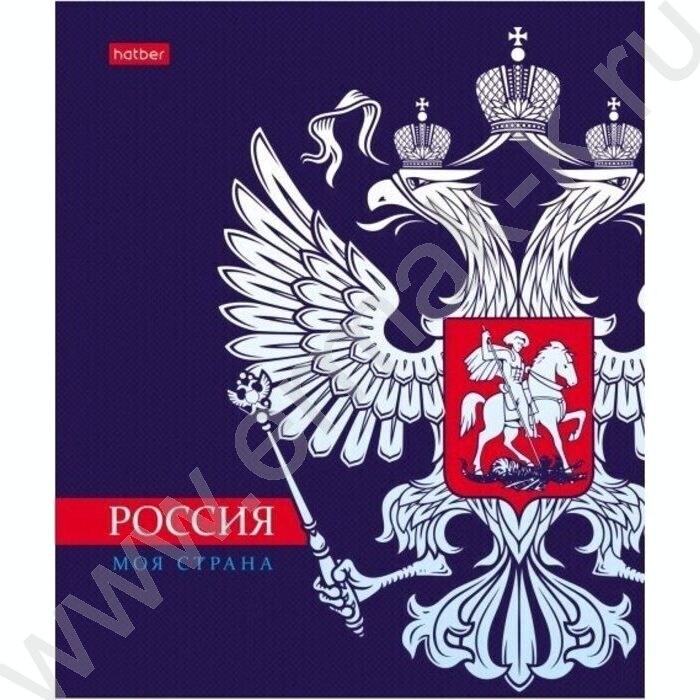 Тетрадь  48л клетка "Я люблю Россию- с гимном" 5видов | Фото 4