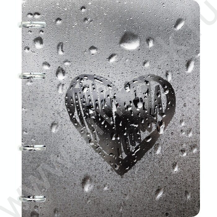 Тетрадь 100л клетка/кольца "Сердце" | Фото 1