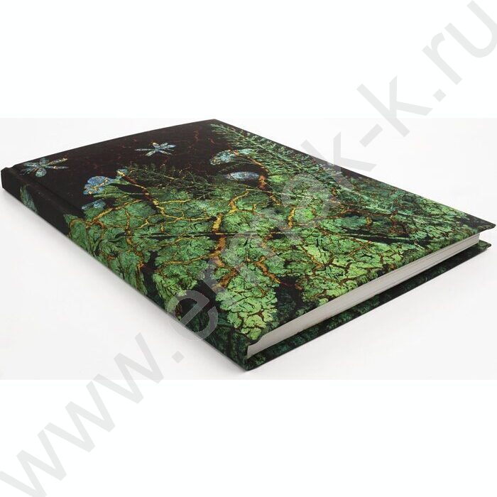 Зап. книжка 100л А5 тв.обл. "Тайны леса" /soft touch/блок (клетка+точка) | Фото 2