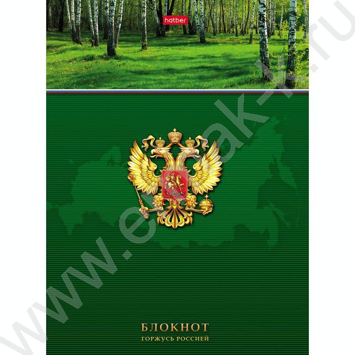 Бизнес-блокнот  80л А5 5-цв.блок "Горжусь Россией" | Фото 1