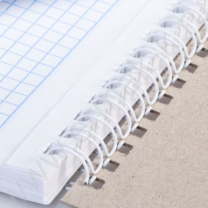 Блокнот  80л А5 спираль "Мой офис" /УФ-лак жесткая подложка/ | Фото 2