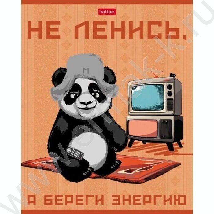 Тетрадь  48л клетка "Мудрая панда" 5видов | Фото 1
