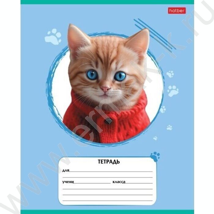 Тетрадь  12л линейка "Мы-котики!" ассорти | Фото 3