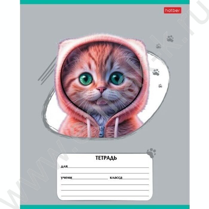 Тетрадь  12л линейка "Мы-котики!" ассорти | Фото 5