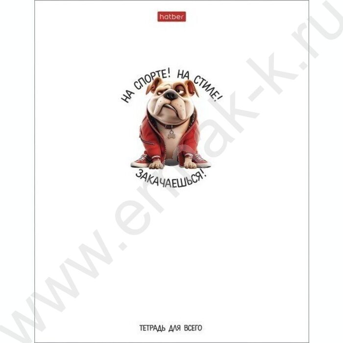 Тетрадь  48л клетка/пластик обл. "Кто круче?" ассорти | Фото 5