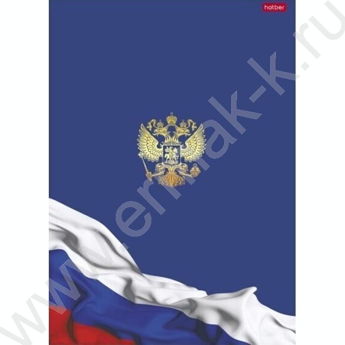 Тетрадь  96л А4 клетка "Я люблю Россию" глянц.лам. | Фото 3