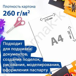 Подвесная регистратура А4 (350*240мм), крафт-картон /комплект 10шт | Фото 3