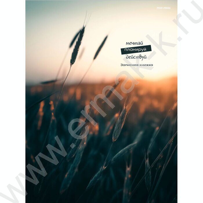 Зап. книжка 120л А4 тв.обл. "Колоски" /глянец/ | Фото 1