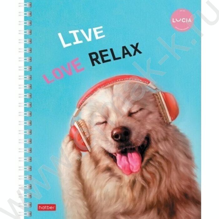 Тетрадь  48л клетка/спираль "Узнай себя!-(Lucia Heffernan)" 4вида | Фото 2