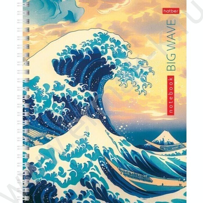 Тетрадь  48л клетка/спираль "Большая волна" 4вида | Фото 1