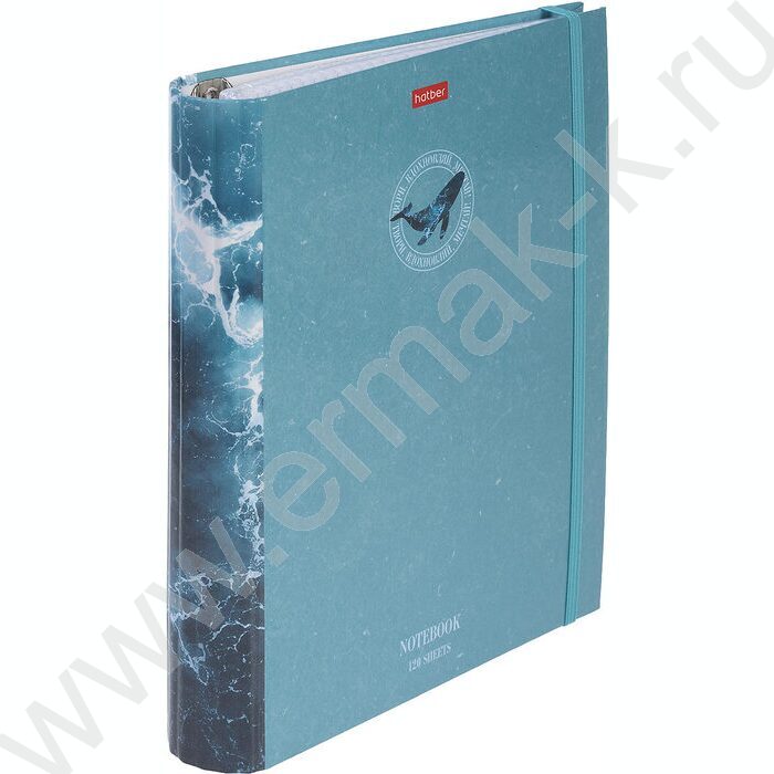 Тетрадь 120л клетка/кольца/резинка "Вдохновение вокруг" | Фото 2