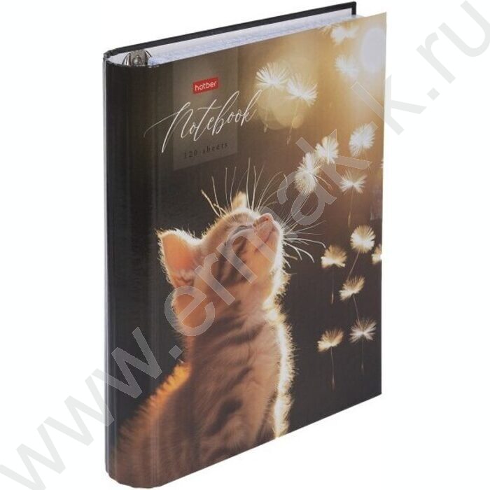 Тетрадь 120л клетка/кольца "Солнечный котик" /глянц.лам. | Фото 2