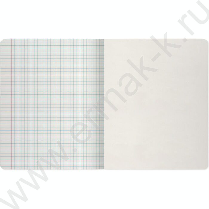 Тетрадь  18л клетка "Классика" ассорти | Фото 9