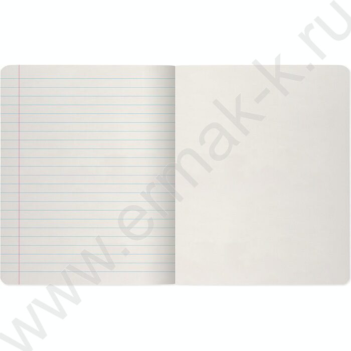 Тетрадь  24л линейка "Zefir colors" ассорти | Фото 8