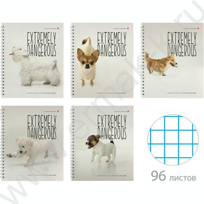 Тетрадь  96л клетка/спираль "Особо опасные собачки" ассорти | Фото 1