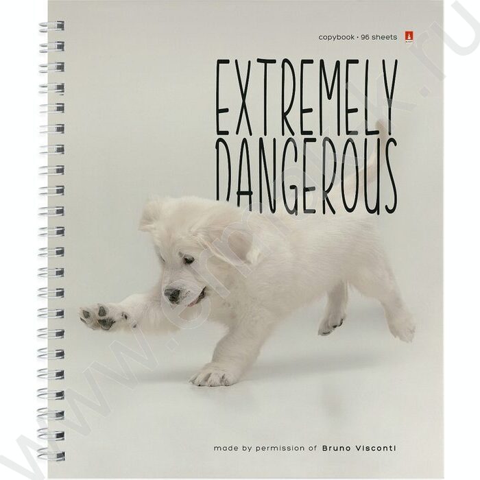 Тетрадь  96л клетка/спираль "Особо опасные собачки" ассорти | Фото 4