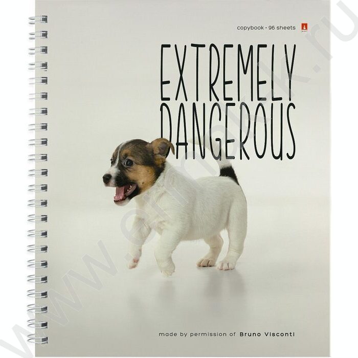 Тетрадь  96л клетка/спираль "Особо опасные собачки" ассорти | Фото 5