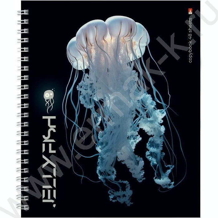 Тетрадь  48л клетка/спираль "Медузы фентези" ассорти | Фото 3