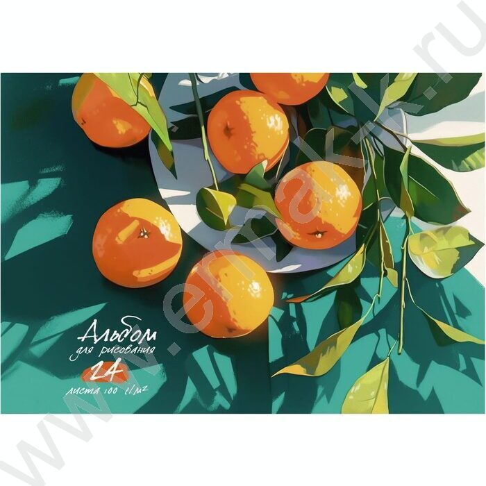 Альбом д/рисования-спираль 24л "Спелые апельсины" | Фото 1