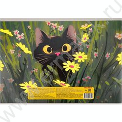 Альбом д/рисования 40л "Котик в траве" лен | Фото 3