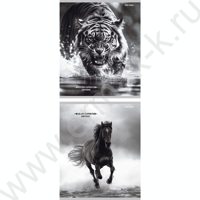 Тетрадь  48л клетка/спираль "Дикая природа-4" ассорти | Фото 1