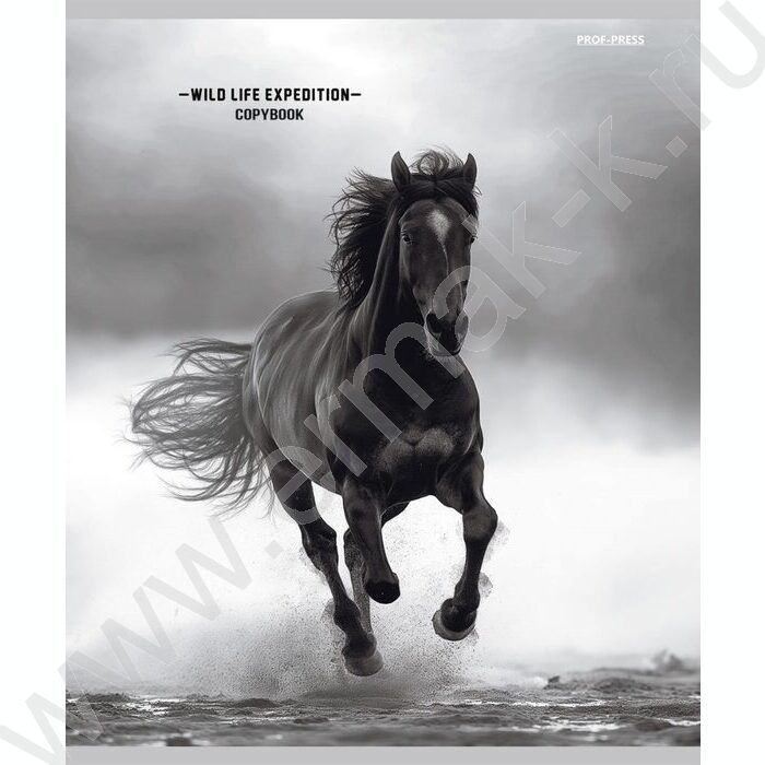 Тетрадь  48л клетка/спираль "Дикая природа-4" ассорти | Фото 3