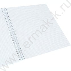 Тетрадь  80л А4 клетка/спираль "Природное умиротворени" | Фото 2