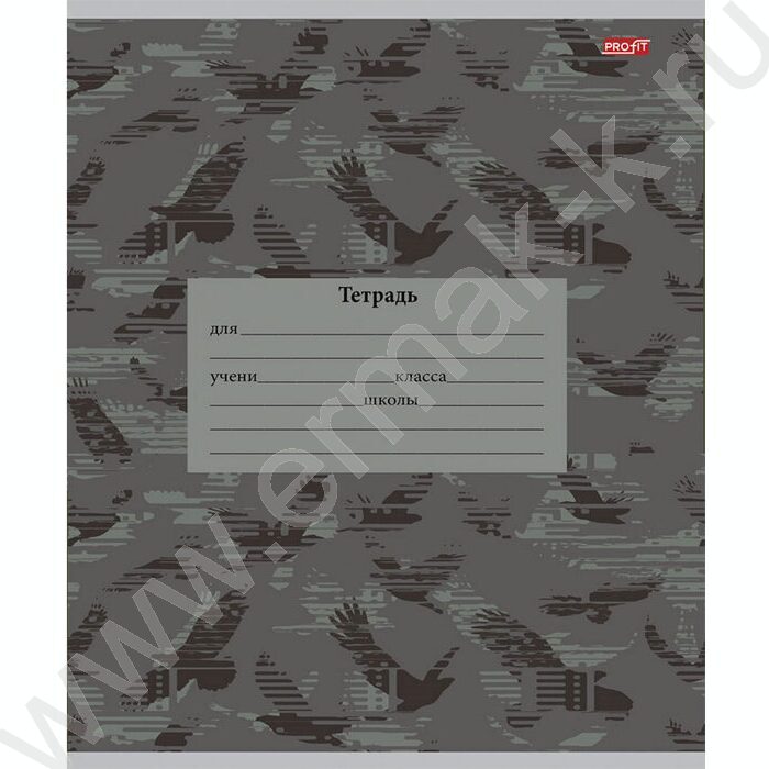 Тетрадь  12л линейка косая дополнительная "Микс милитари" 5видов | Фото 4