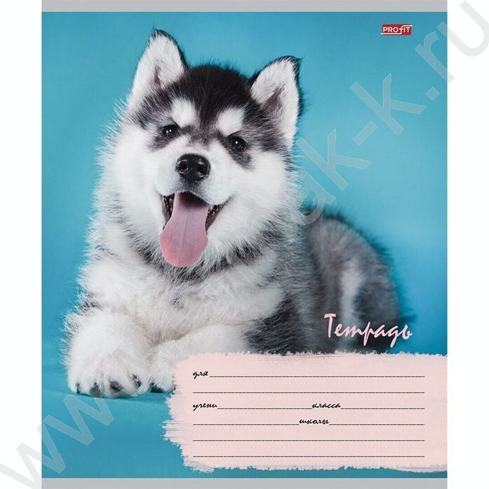 Тетрадь  12л линейка косая дополнительная "Милые щенки-6" 5видов | Фото 3