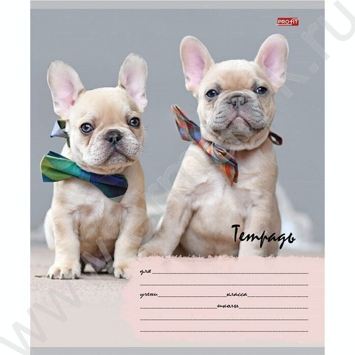 Тетрадь  12л линейка косая дополнительная "Милые щенки-6" 5видов | Фото 5