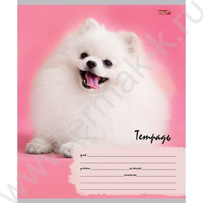 Тетрадь  12л линейка косая дополнительная "Милые щенки-6" 5видов | Фото 6