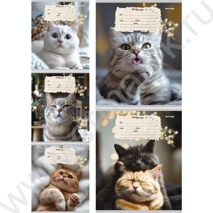 Тетрадь  12л линейка косая дополнительная "Кошечки" твин-лак/ 5видов | Фото 1