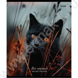 Тетрадь  48л клетка "Кот на закате" /софт-тач/хол.фольга/ ассорти | Фото 3