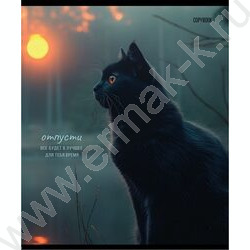 Тетрадь  48л клетка "Кот на закате" /софт-тач/хол.фольга/ ассорти | Фото 4