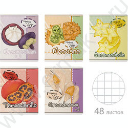 Тетрадь  48л клетка "Meow fruit" /мат.лам.Soft Touch/ ассорти | Фото 1