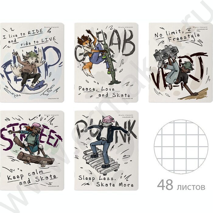 Тетрадь  48л клетка "Street skate" /мат.лам.Soft Touch/ ассорти | Фото 1