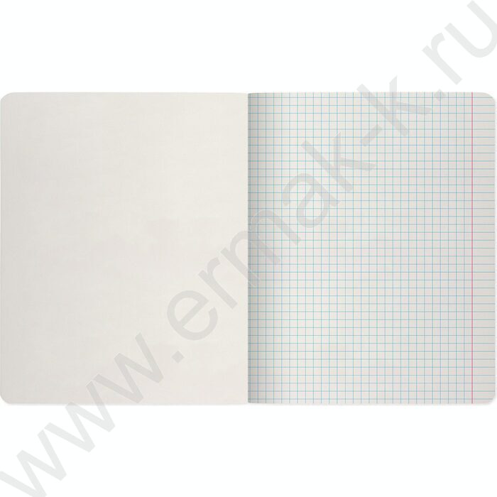 Тетрадь  48л клетка "Stripes" /УФ- лак сплошной/ 5видов | Фото 7