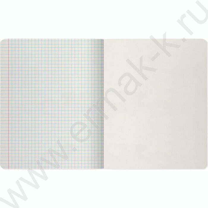Тетрадь  48л клетка "Stripes" /УФ- лак сплошной/ 5видов | Фото 9