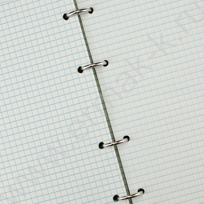 Тетрадь  80л клетка/кольца "Города" со смен.блоком | Фото 3