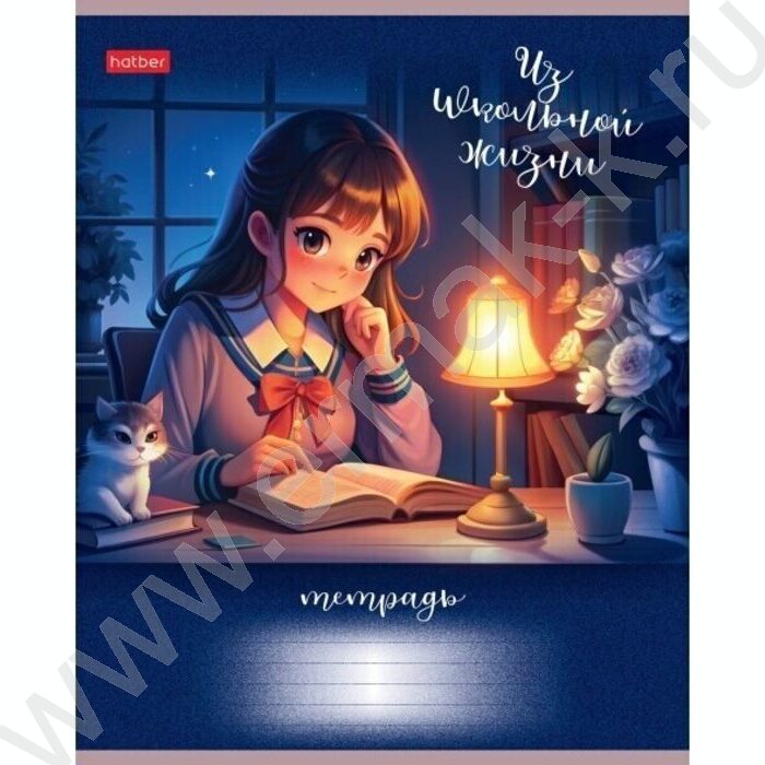 Тетрадь  40л клетка "Из школьной жизни" ассорти | Фото 4