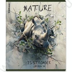Тетрадь  48л клетка "Nature Power" /твин-лак /ассорти | Фото 3